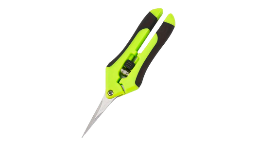 Beskæringssaks i rustfrit stål - perfekt til mikrogrønt